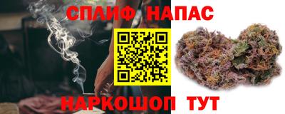 тгк Дубна