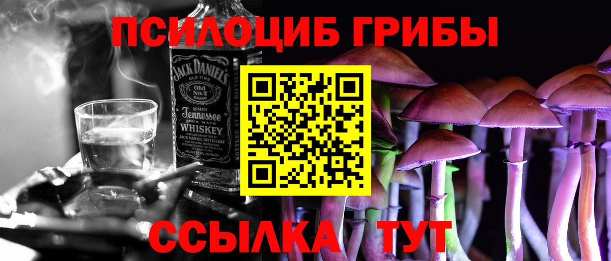 Псилоцибиновые грибы Psilocybe  купить   Буйнакск  Псилоцибиновые грибы ЛСД 
