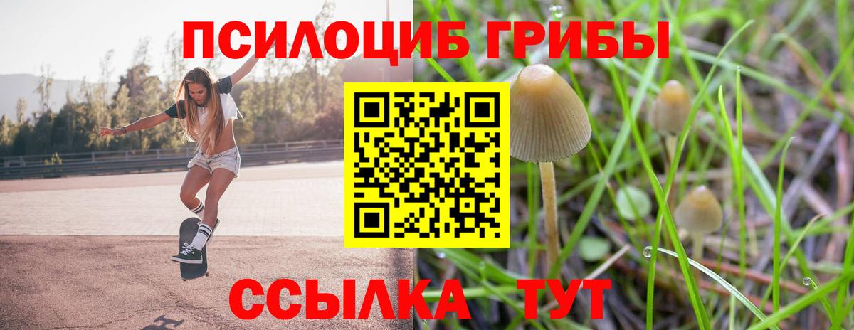 Галлюциногенные грибы Psilocybine cubensis Буйнакск