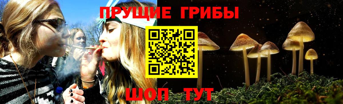 Галлюциногенные грибы Psilocybine cubensis  Галлюциногенные грибы Cubensis  Вход с VPN  Буйнакск 