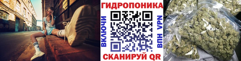 Шишки марихуана планчик закладки площадка формула Буйнакск мега зеркало